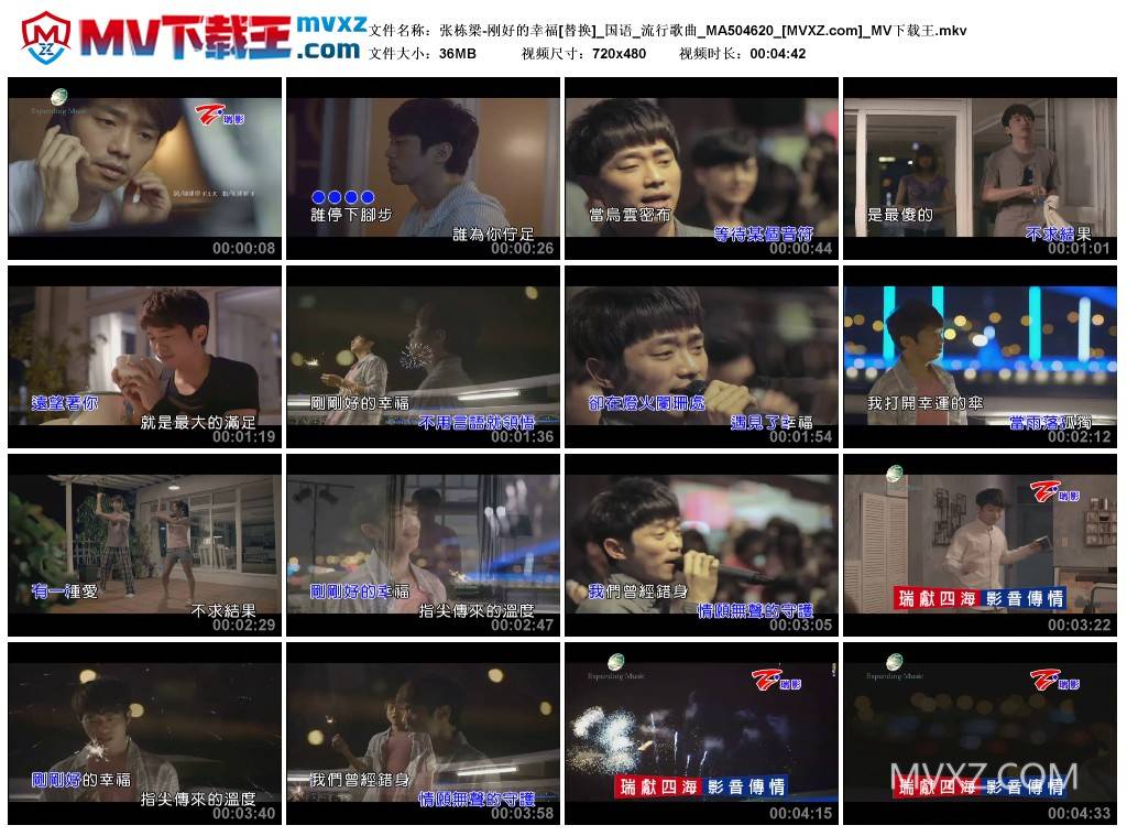 张栋梁-刚好的幸福[替换]_国语_流行歌曲_MA504620